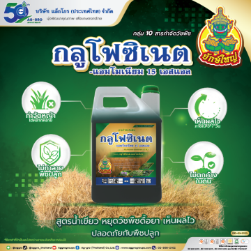 โคเสท